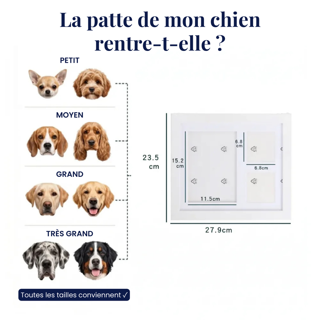 Kit d'Empreinte de Patte en Argile