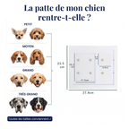 Kit d'Empreinte de Patte en Argile